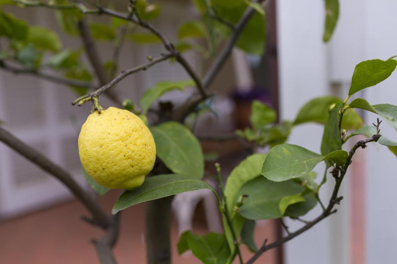 B&B Cava Rossa Monsummano Terme Εξωτερικό φωτογραφία