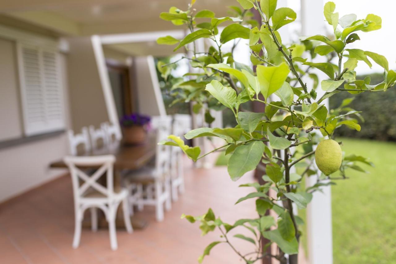 B&B Cava Rossa Monsummano Terme Εξωτερικό φωτογραφία
